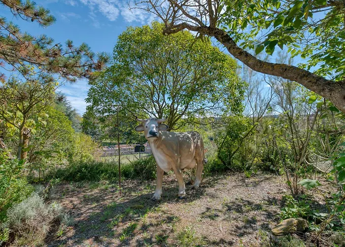 Le Rosier - A La Ferme Vakantiehuis La Cassaigne